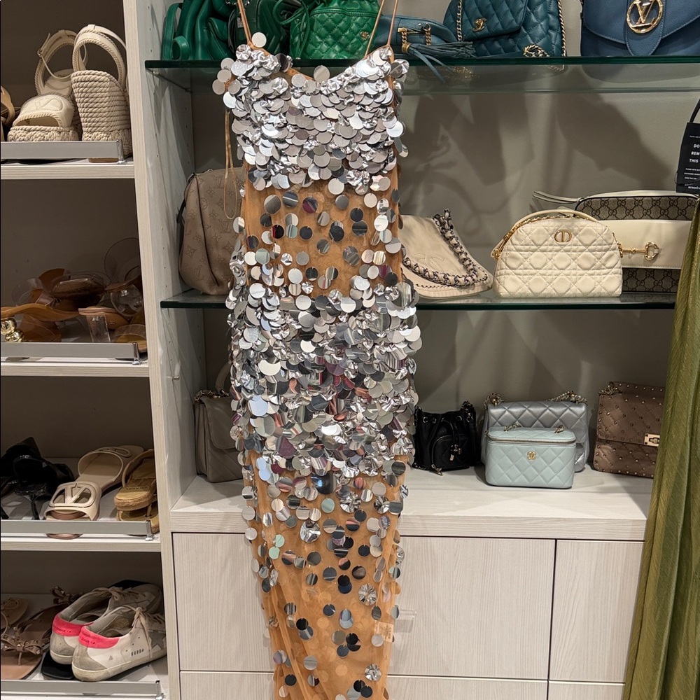 Retrofete Silver Sequin Nude Tulle Maxi Dress